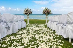 Pierre Carr, Exclusive Tropical Weddings